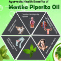 Factory supply pure mentha piperita essential oil